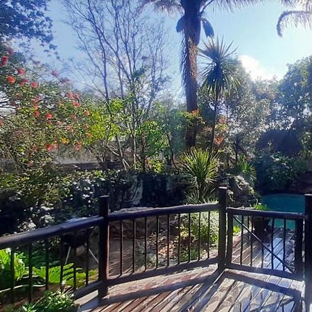 Pantera Lodge&Cheetah Cottage Johannesburg Bagian luar foto