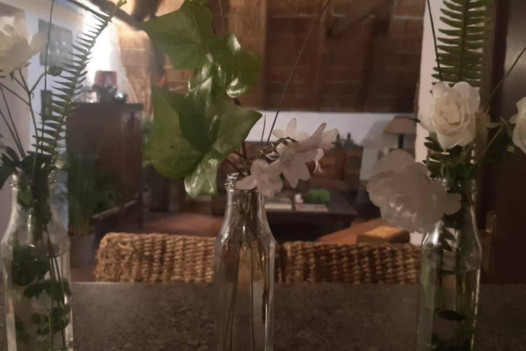 Pantera Lodge&Cheetah Cottage Johannesburg Bagian luar foto