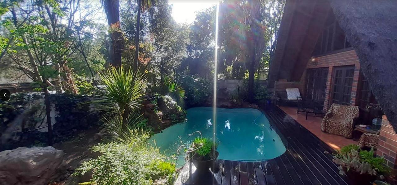 Pantera Lodge&Cheetah Cottage Johannesburg Bagian luar foto